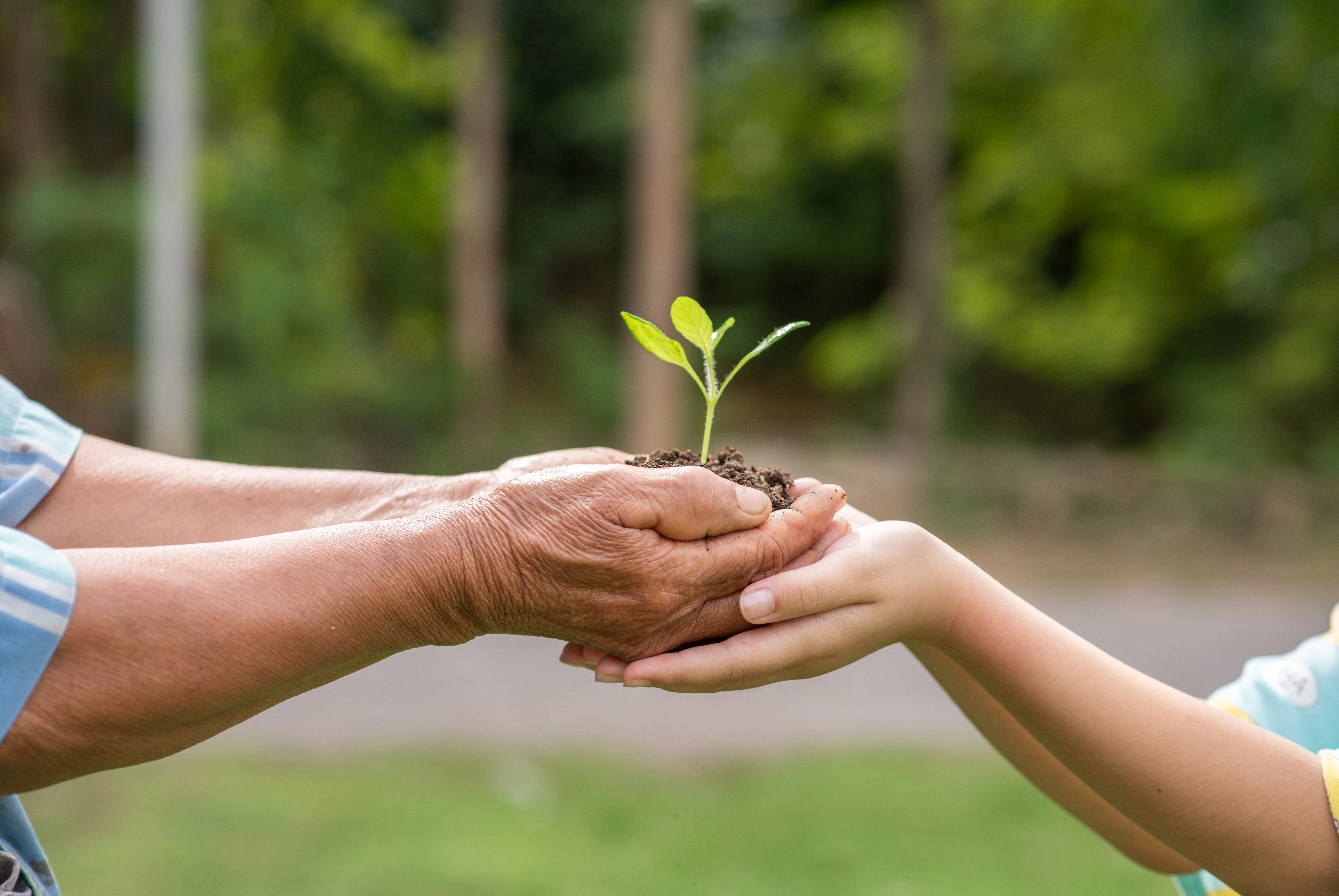 Compromiso Ambiental